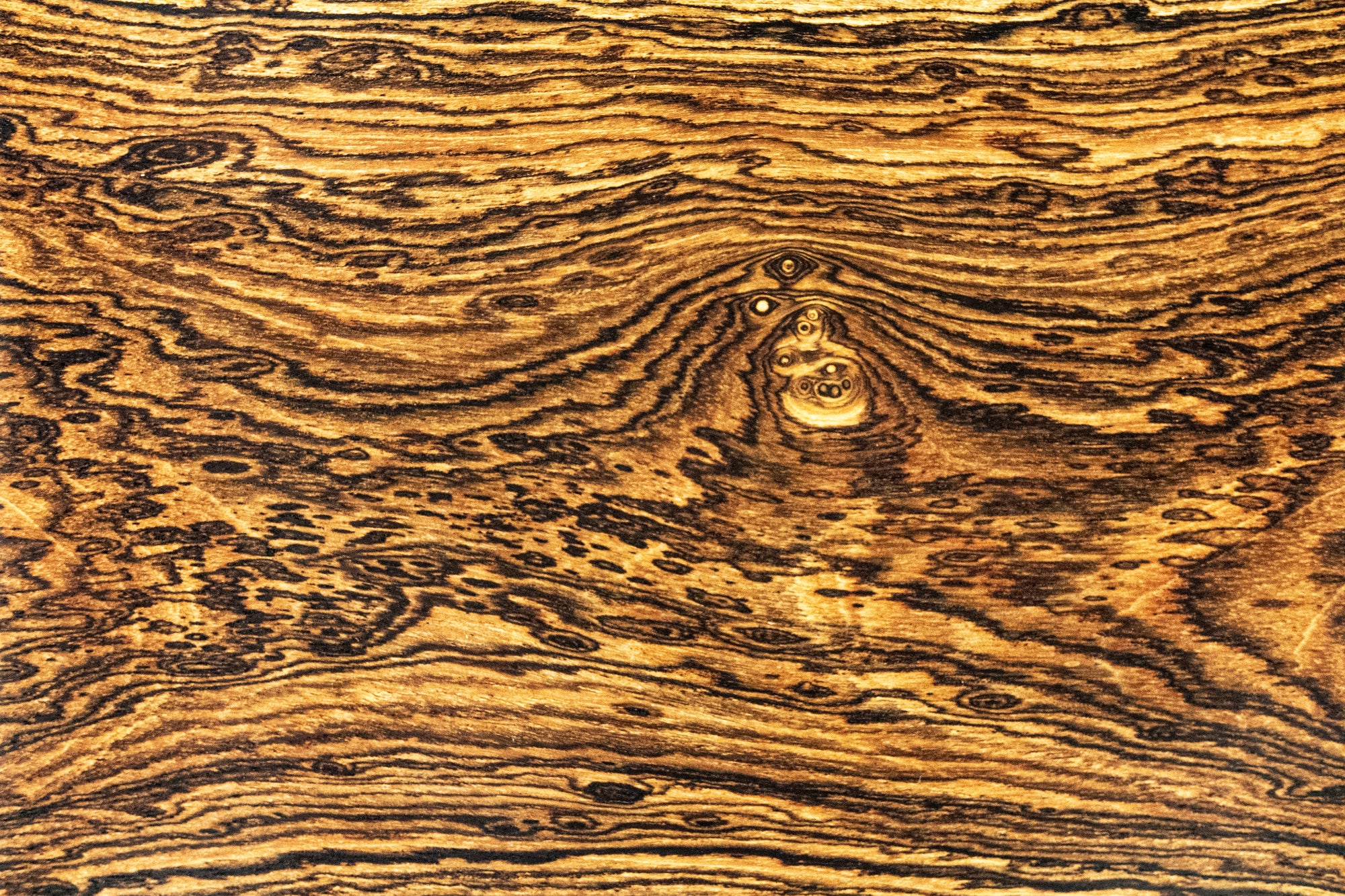 Bocote Trays